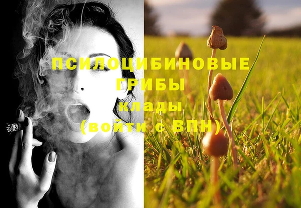 МДПВ Зеленодольск