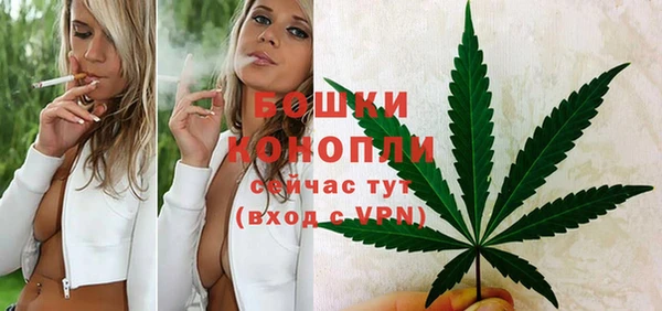 МДПВ Зеленодольск