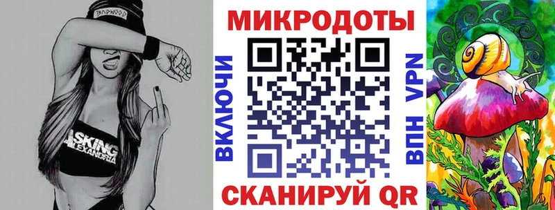 Псилоцибиновые грибы Psilocybe  Спас-Деменск 